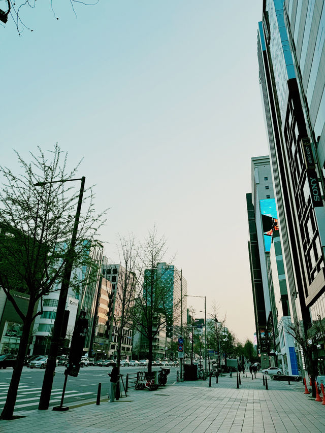 Spring in Seoul