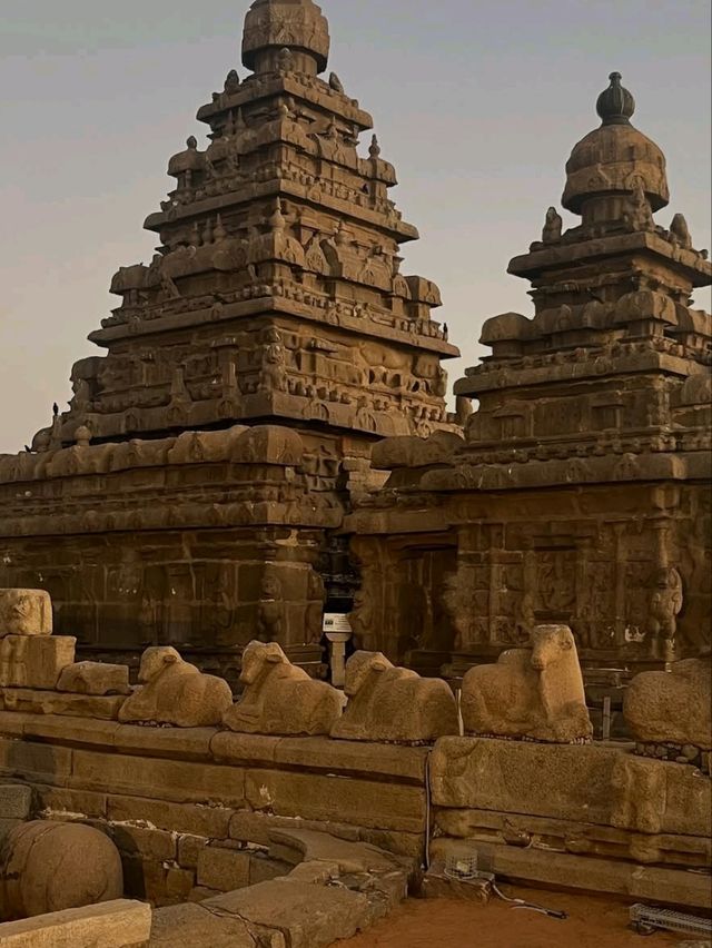 🌴 Charm of Chennai – A Cultural Cocktail by the Coast! 🕌🌊