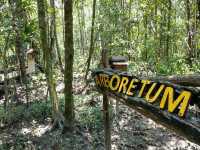 Taman Negara Johor Pulau Kukup – A Solo Traveller’s Adventurous Escape