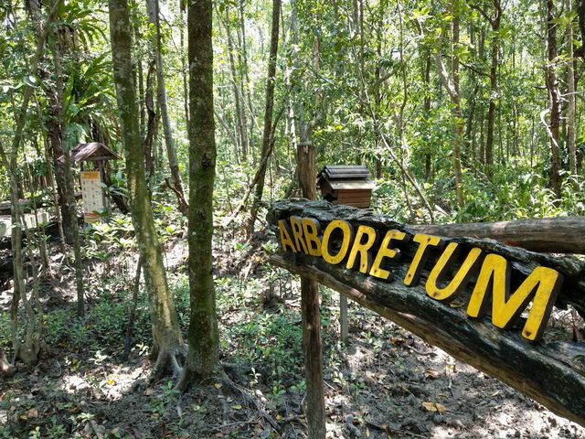 Taman Negara Johor Pulau Kukup – A Solo Traveller’s Adventurous Escape