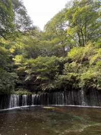 【長野県】軽井沢でマイナスイオンを浴びる🌱