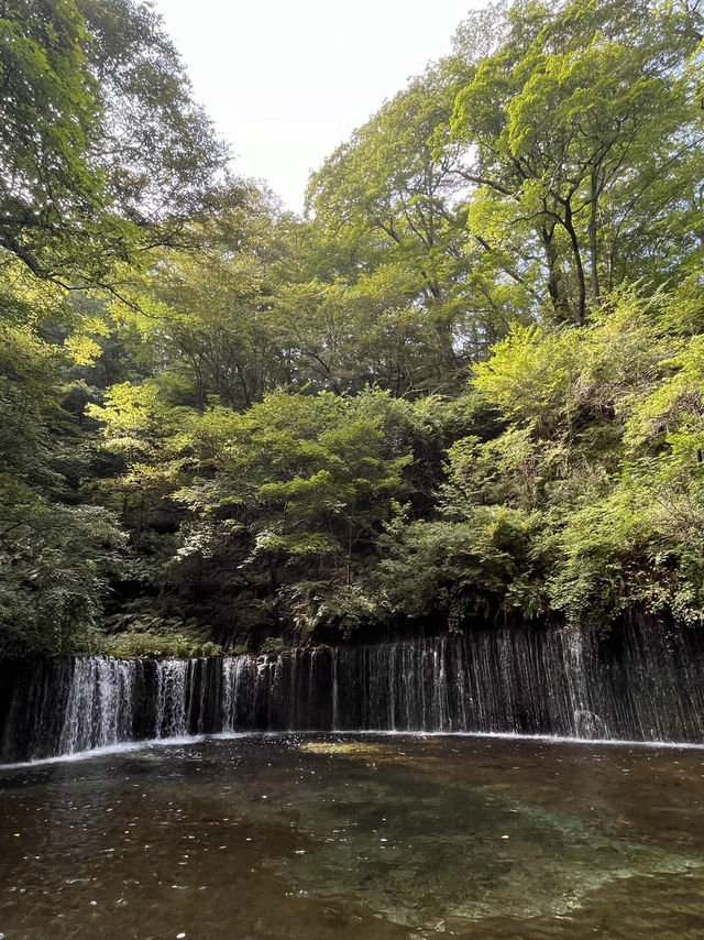 【長野県】軽井沢でマイナスイオンを浴びる🌱