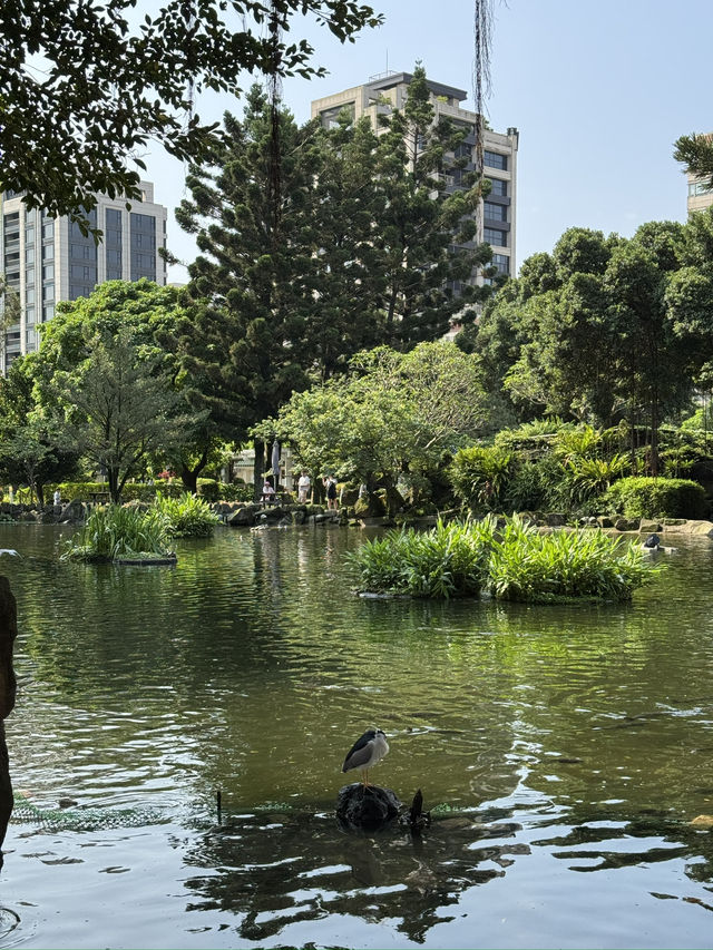 台北｜雲漢池｜城市中的靜謐之地