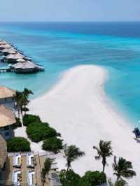 🌺 Escape to Untouched Beauty: Haa Dhaalu Atoll, Maldives! 🌊✨