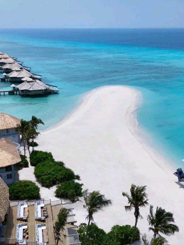 🌺 Escape to Untouched Beauty: Haa Dhaalu Atoll, Maldives! 🌊✨