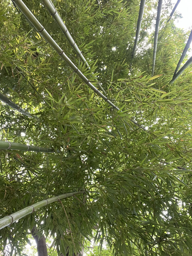 杭州之美、上海繁榮