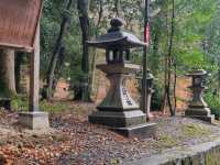 후시미이나리신사 후기 Journey to Fushimi Inari Taisha