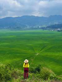 Exploring Flores’ Majestic Rice Fields and the Spider Web Fields