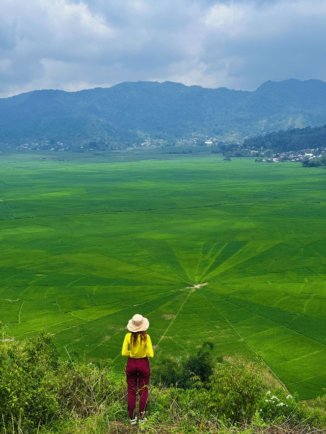 Exploring Flores’ Majestic Rice Fields and the Spider Web Fields