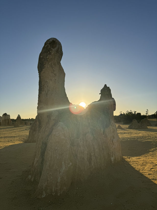 Pinnacle of our trip - The pinnacles in perth! ⛰️