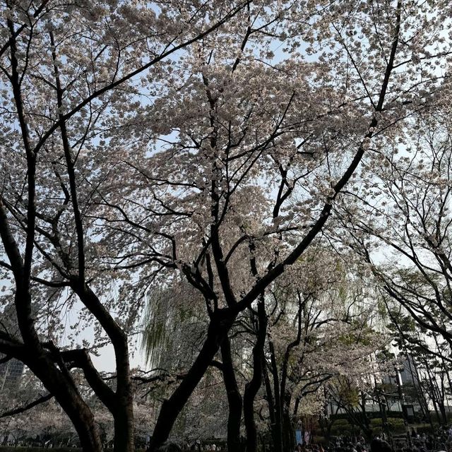 Seokchon Lake (Seoul)