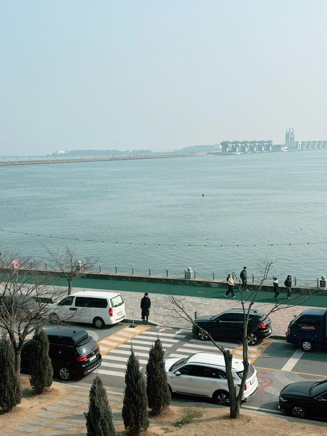 바다와 갈매기가 반겨주는 목포 평화광장, 가족여행지로 딱!🤍☀️