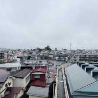 Sakura Serenity in Miyagi Kōen