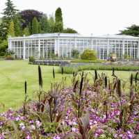 Relax and Explore at Wollaton Hall & Deer Park