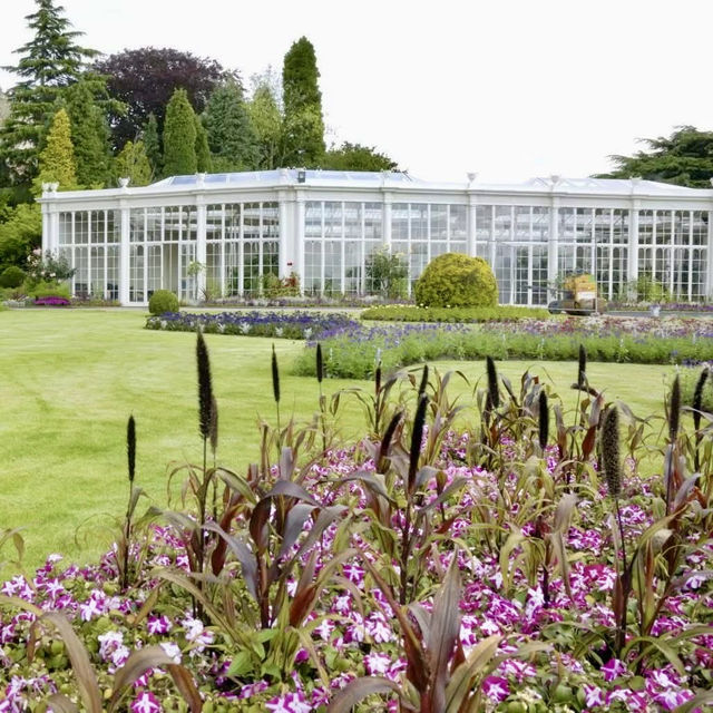 Relax and Explore at Wollaton Hall & Deer Park