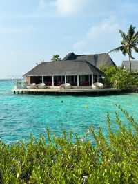 Maldives recap
