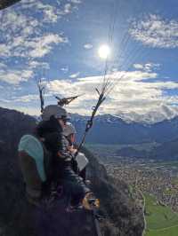 Ultimate Swiss Adventure - Paragliding Over Interlaken!🇨🇭