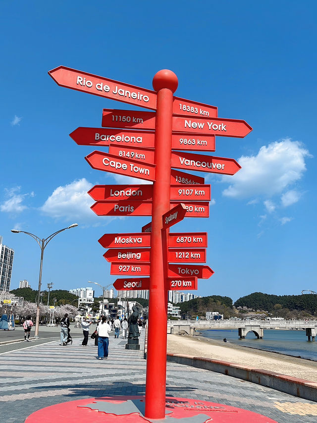 포항 필수 여행코스 영일대해수욕장& 영일정