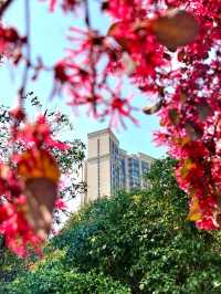 Beautiful Spot in Changsha