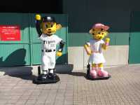 ⚾ 甲子園棒球場｜歷史與熱血共鳴的青春賽場 