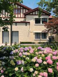 💐 City Center Hydrangea Garden Walk 