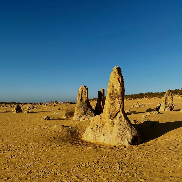 Pinnacles Desert Cervantes