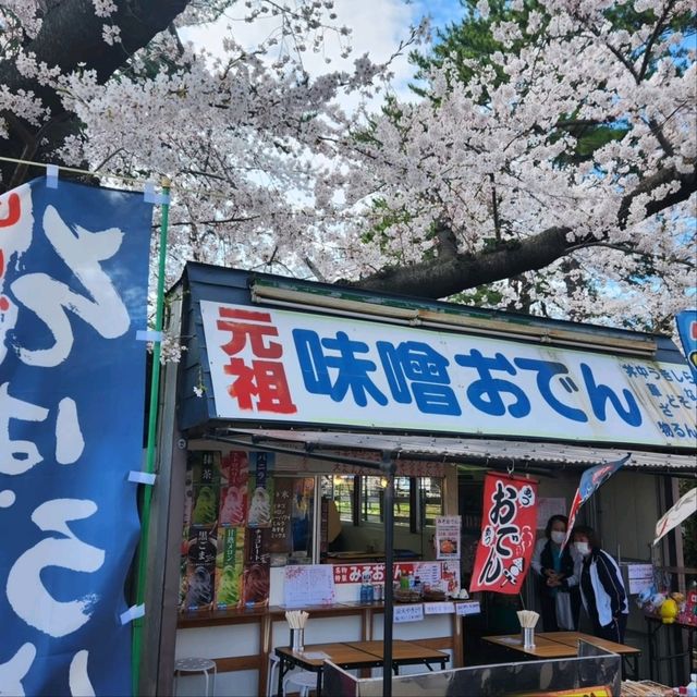 Cherry Blossoms, Lakeside Vibes, and Pure Chill