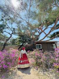 Wearing Hanbok Walk Around Gyeongbokgung Palace😍