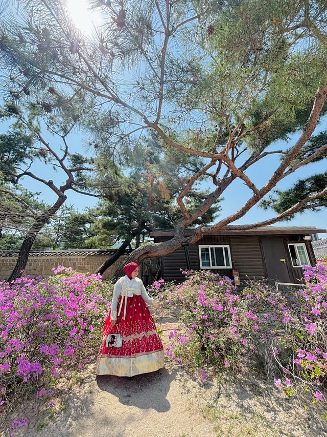 Wearing Hanbok Walk Around Gyeongbokgung Palace😍