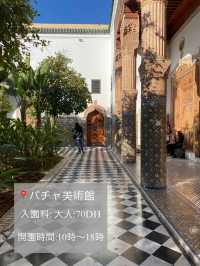 🌿🇲🇦マラケシュ旅日記📖✨