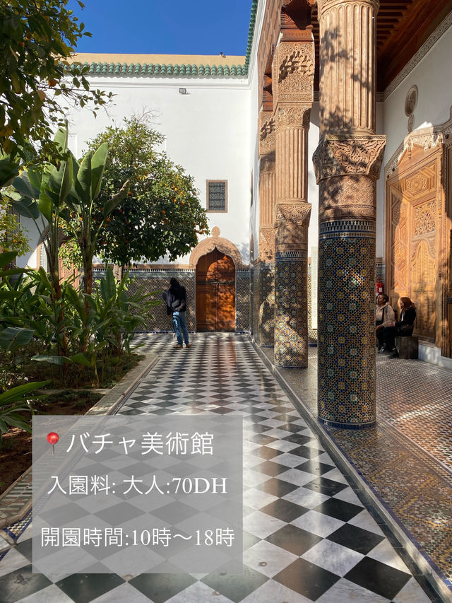 🌿🇲🇦マラケシュ旅日記📖✨
