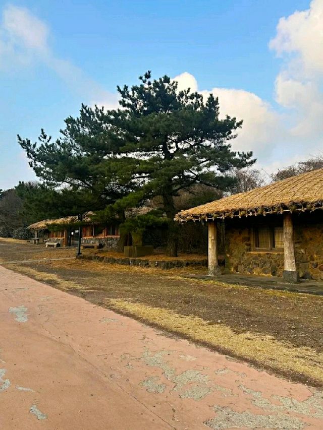 JEJU STONE PARK.