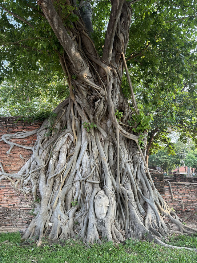 Ayutthaya Historical Capital of Thailand