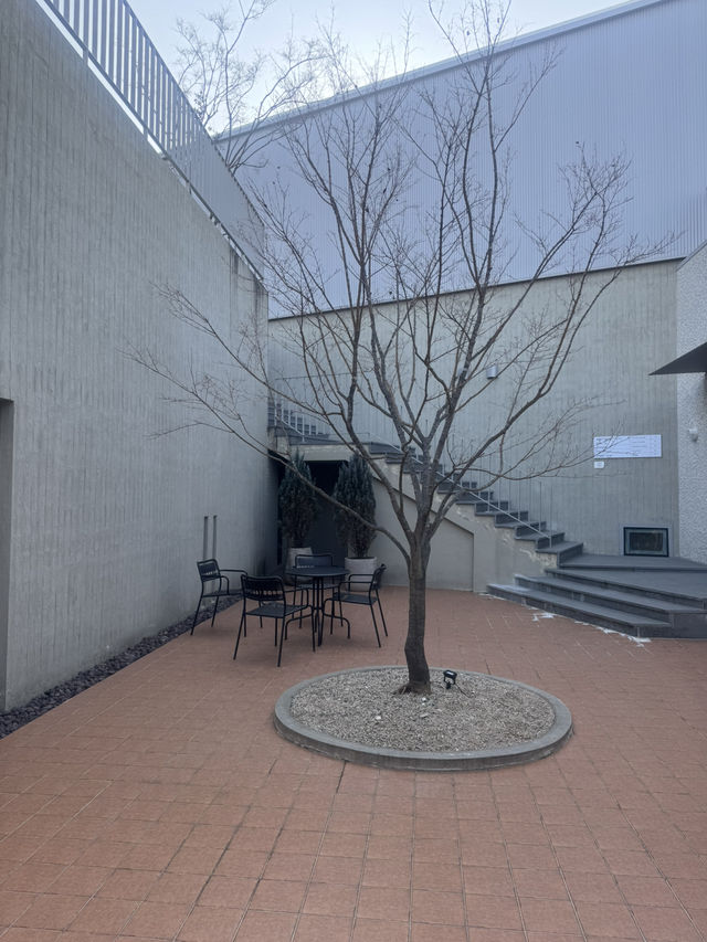 전시회와 예술 감상 🎭🖼️