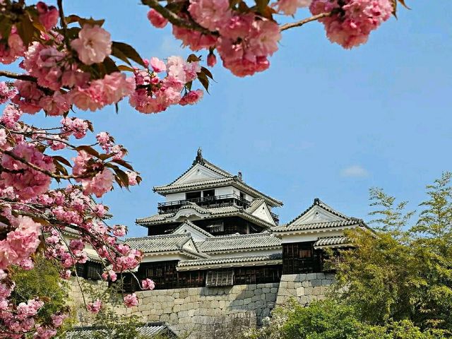 Title: Matsuyama Castle – A Timeless Sentinel Overlooking Ehime