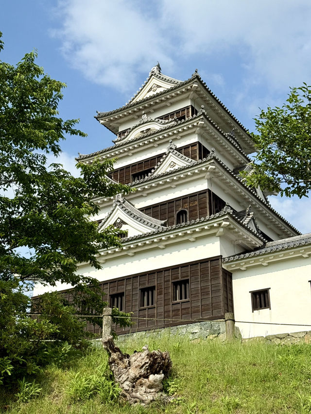 Exploring Ōzu – A Castle View & a Shrine Escape