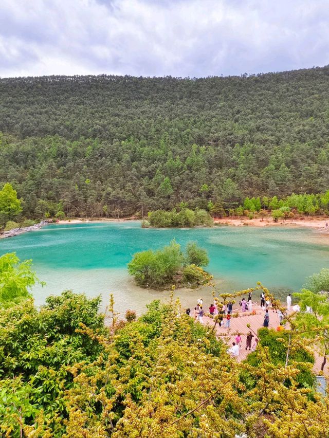 Blue Moon Valley: Where Nature Shows Off in Style