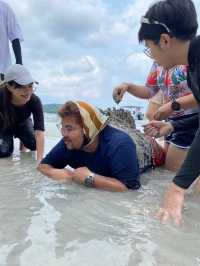 Koh Kood – A Peaceful Island Escape