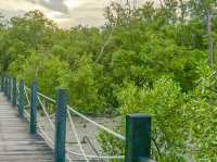เที่ยวหาดนางรำ ชลบุรี