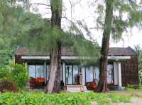 wari coffee kohchang