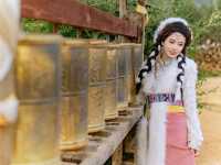 Timeless Beauty in Lijiang: A Tibetan Costume Photoshoot Amidst the Grasslands