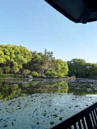 บ่ายวันสบายที่ Hangzhou Botanical Garden