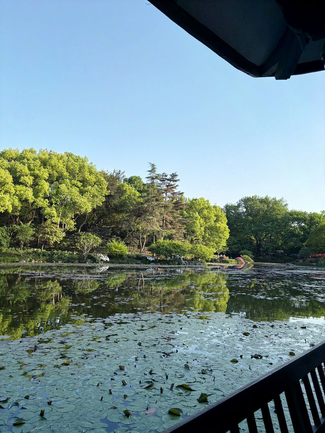 บ่ายวันสบายที่ Hangzhou Botanical Garden