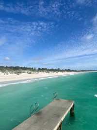 ✨Perth City Vibes: Where Urban Chic Meets Nature’s Bliss!