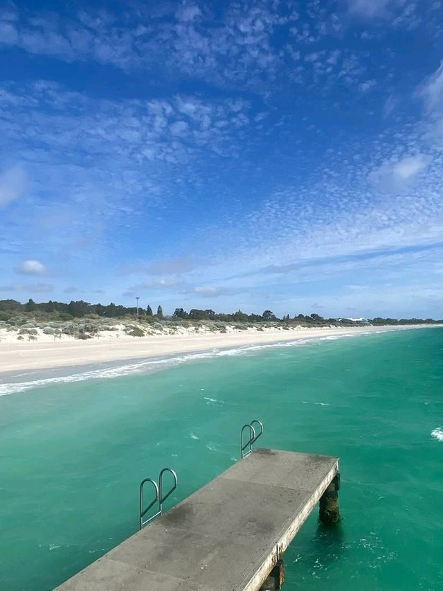 ✨Perth City Vibes: Where Urban Chic Meets Nature’s Bliss!
