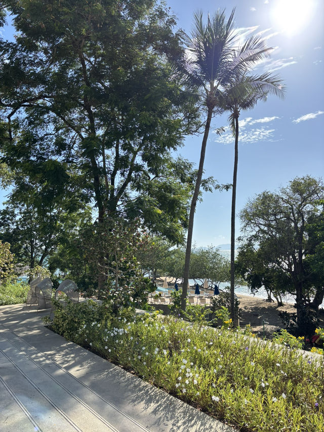 Burasari escape coconut island 