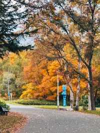 MAKOMANAI PARK.