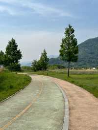 꽃보며 산책하기 좋은 ‘황산공원’