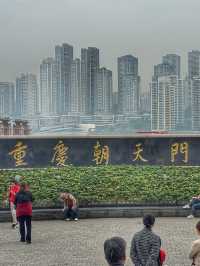 Where Shopping Meets the Skyline: Raffles City Chongqing Done Right