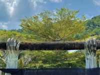 Perak, Gopeng | New Hot Spot: Kyoho Grape Vineyard 